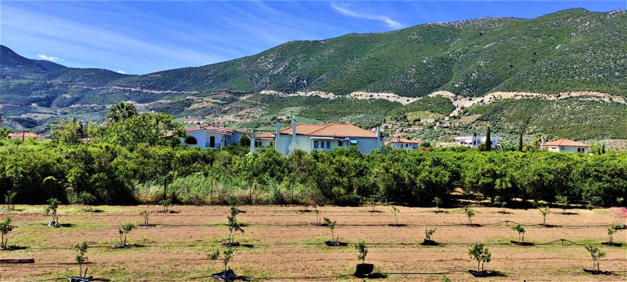 Fani'S Apartments 1 Epidaurus Dış mekan fotoğraf